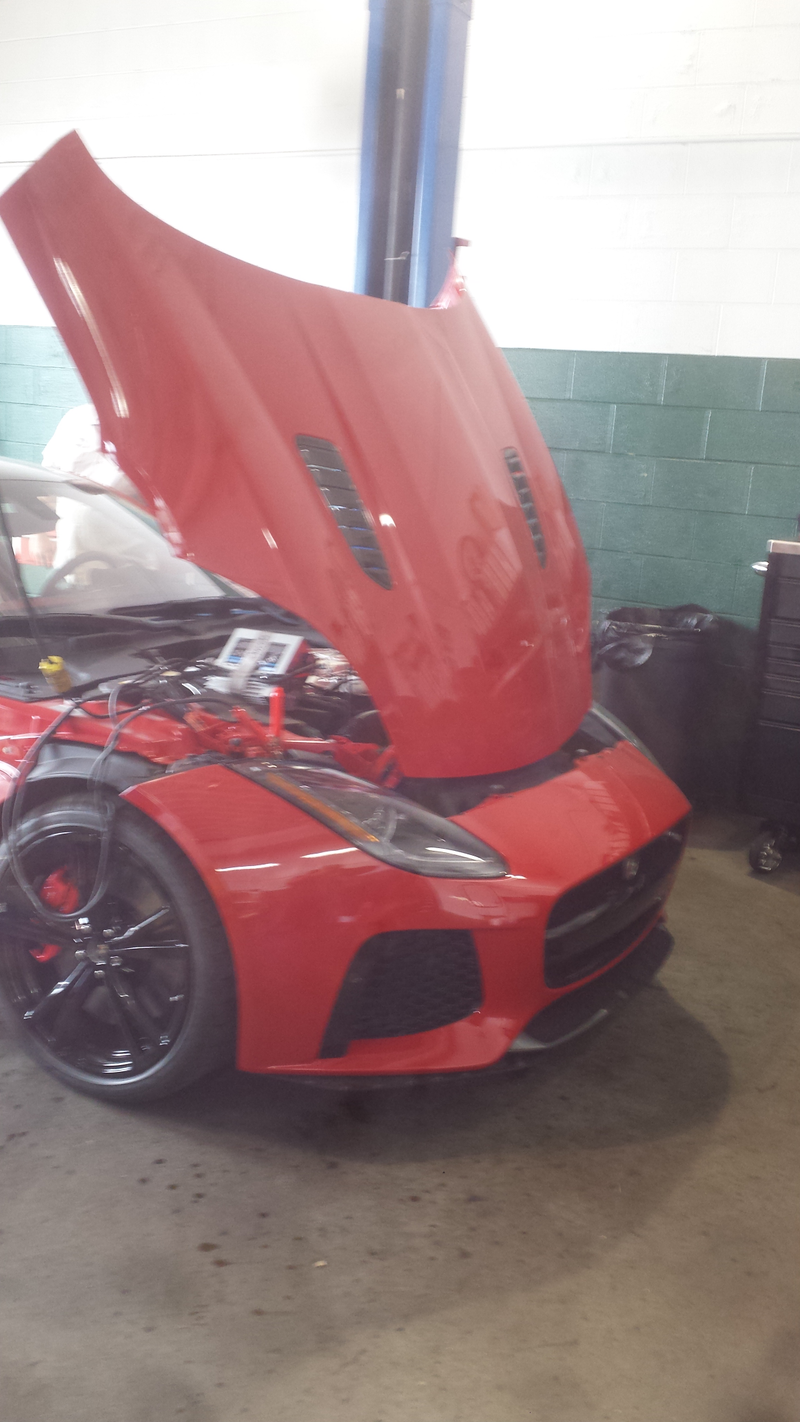 Illustration for article titled Still in the Wrapper, SVR F-Type.